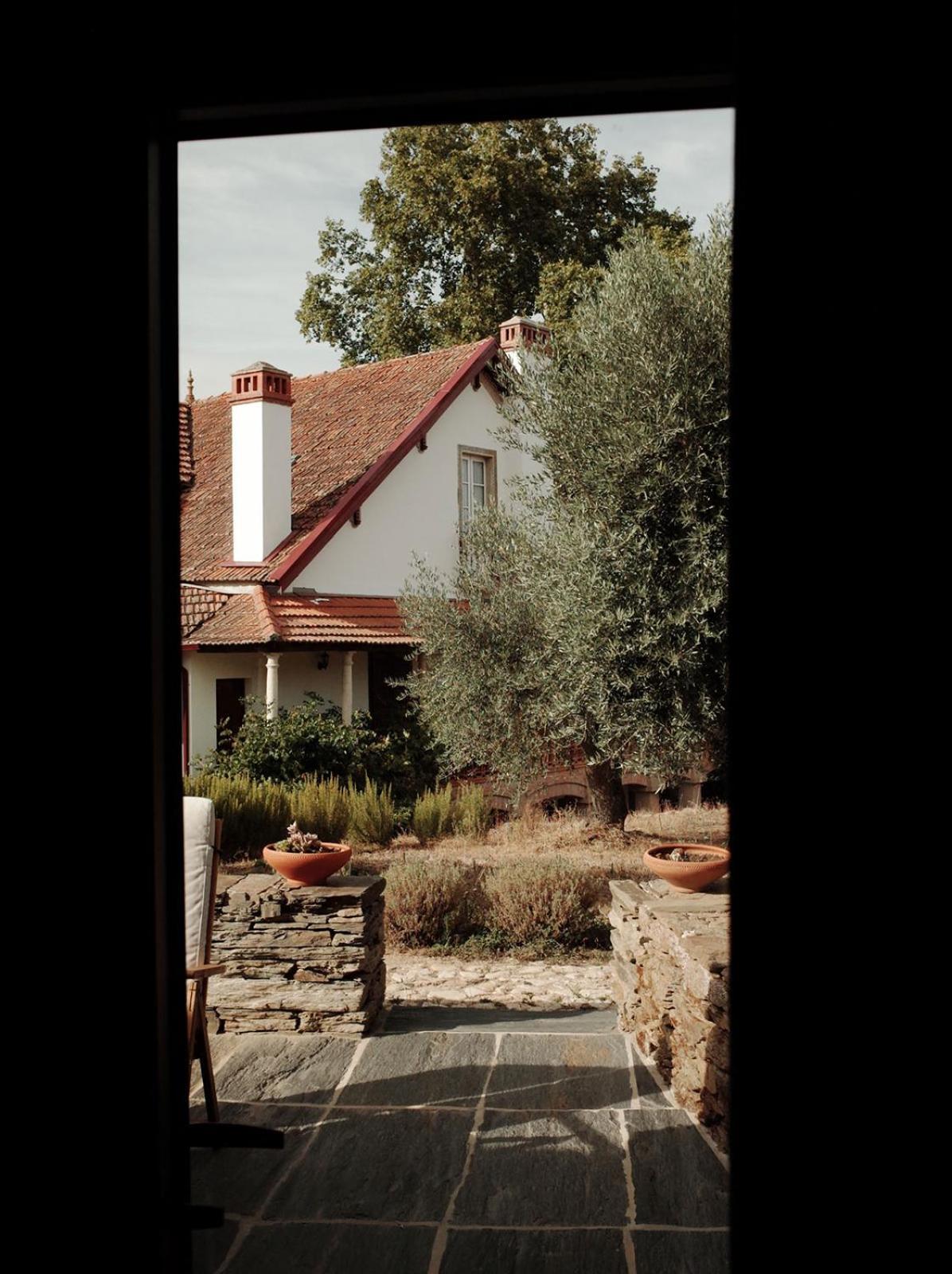 Quinta Vila Rachel - Winery Sao Mamede de Ribatua Exterior foto